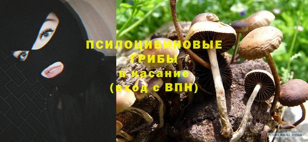 бутират Дмитриев