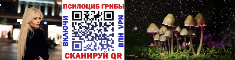 Псилоцибиновые грибы мухоморы  где продают наркотики  Новая Ладога 